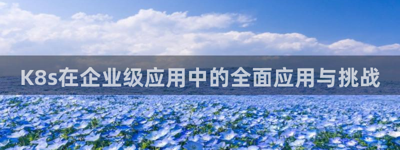 辉达娱乐平台官方网站：K8s在企业级应用中的全面应用与挑战