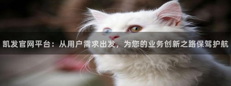 辉达娱乐下载链接：凯发官网平台：从用户需求出发，为您的业务创新之路保驾护航