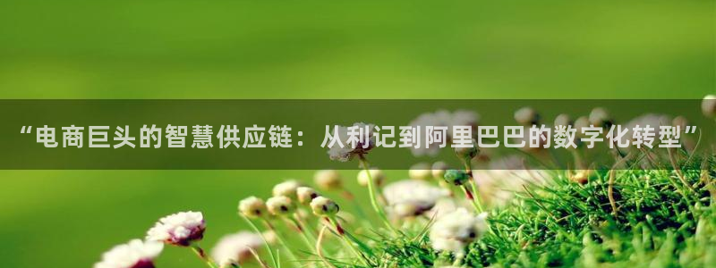 壹号平台娱乐：“电商巨头的智慧供应链：从利记到阿里巴巴的数字化转型”