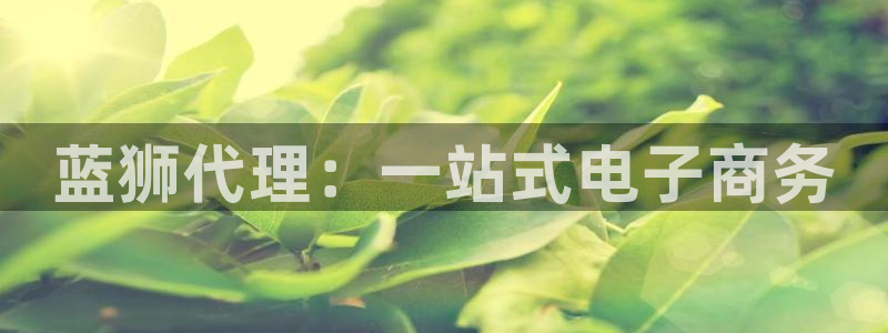 辉达娱乐怎么下载：蓝狮代理：一站式电子商务