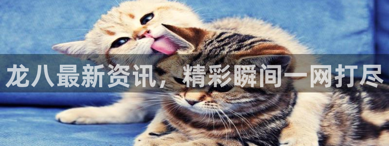 辉达娱乐.com：龙八最新资讯，精彩瞬间一网打尽