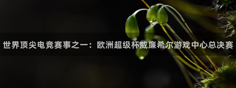 辉达娱乐预测在线预测：世界顶尖电竞赛事之一：欧洲超级杯威廉希尔游戏中心总决赛