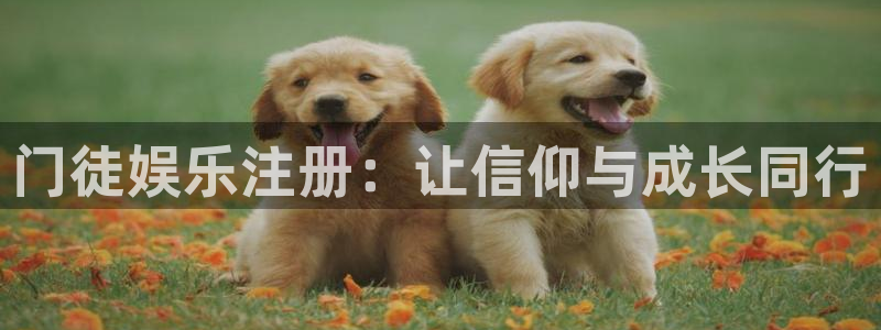 辉达娱乐苹果手机下载链接：门徒娱乐注册：让信仰与成长同行