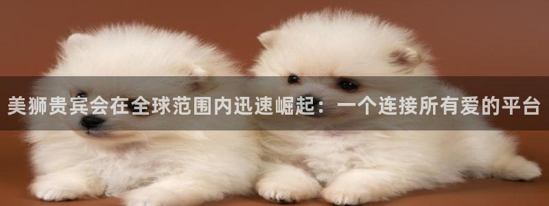 辉达注册：美狮贵宾会在全球范围内迅速崛起：一个连接所有爱的平台
