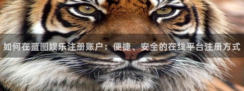 辉达娱乐游app：如何在蓝图娱乐注册账户：便捷、安全的在线平台注册方式