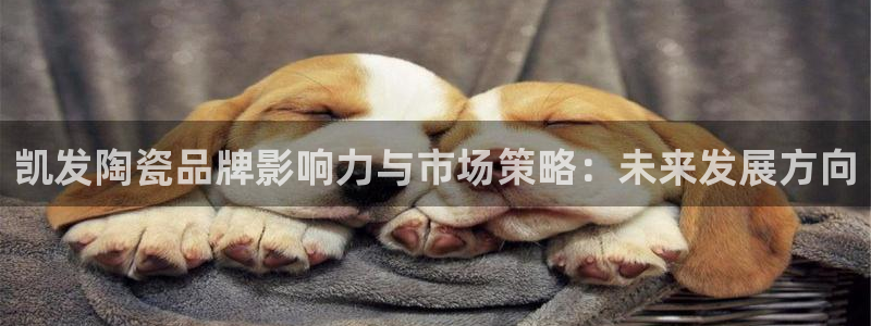 pg辉达娱乐平台下载入口：凯发陶瓷品牌影响力与市场策略：未来发展方向