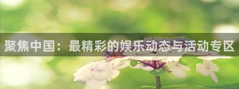 辉达娱乐注册入口与教程：聚焦中国：最精彩的娱乐动态与活动专区