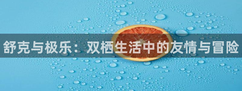 辉达娱乐平台下载入口：舒克与极乐：双栖生活中的友情与冒险
