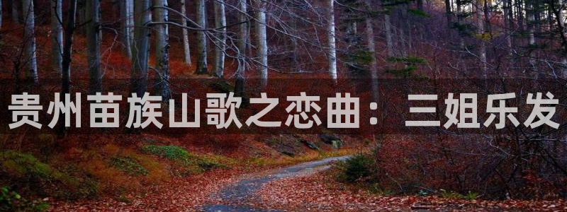 辉达娱乐游戏官网平台入口：贵州苗族山歌之恋曲：三姐乐发