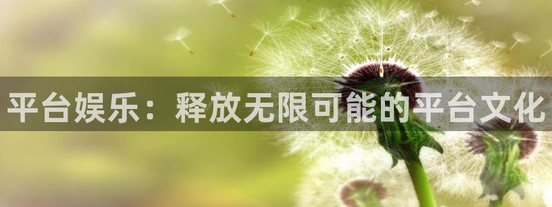 辉达娱乐官网版下载链接：平台娱乐：释放无限可能的平台文化