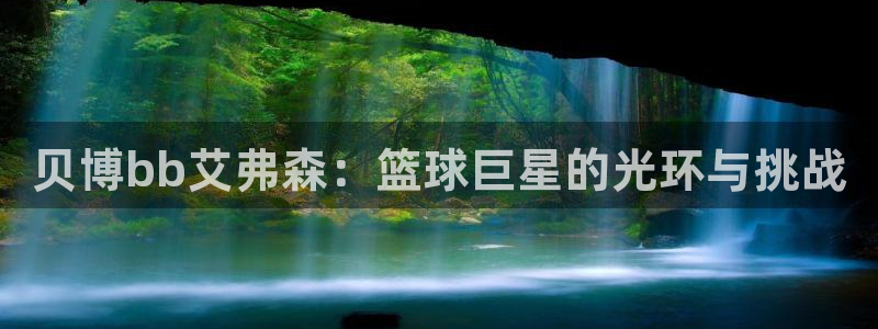 辉达娱乐有梦你就来：贝博bb艾弗森：篮球巨星的光环与挑战