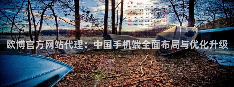 辉达娱乐下载：欧博官方网站代理：中国手机端全面布局与优化升级