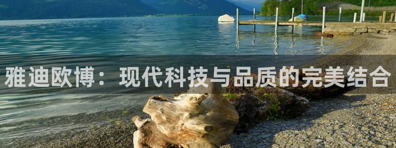 电子游戏辉达娱乐：雅迪欧博：现代科技与品质的完美结合