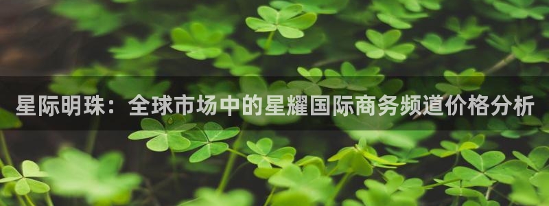 辉达娱乐下载入口：星际明珠：全球市场中的星耀国际商务频道价格分析