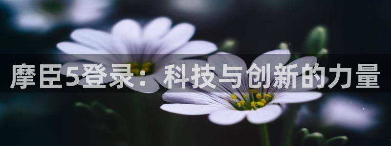 辉达娱乐官方网站：摩臣5登录：科技与创新的力量