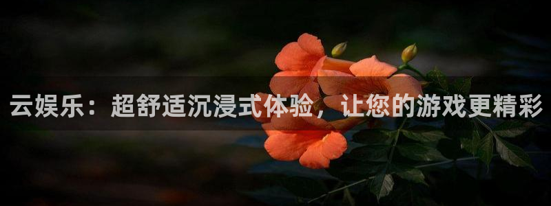 壹号下载安装：云娱乐：超舒适沉浸式体验，让您的游戏更精彩