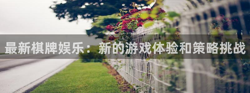 辉达娱乐pg电子游戏在线玩：最新棋牌娱乐：新的游戏体验和策略挑战