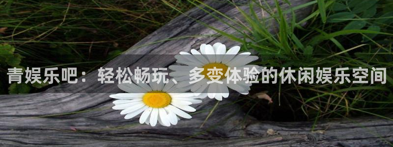 辉达娱乐：青娱乐吧：轻松畅玩、多变体验的休闲娱乐空间