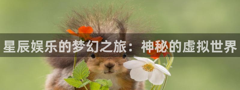 辉达娱乐.ccm：星辰娱乐的梦幻之旅：神秘的虚拟世界