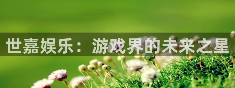辉达娱乐.com：世嘉娱乐：游戏界的未来之星