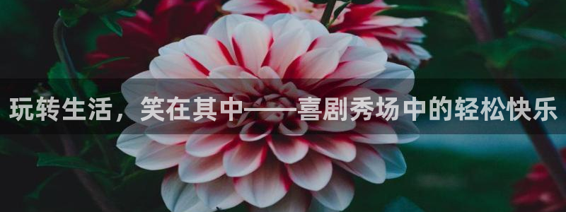 辉达娱乐网站：玩转生活，笑在其中——喜剧秀场中的轻松快乐