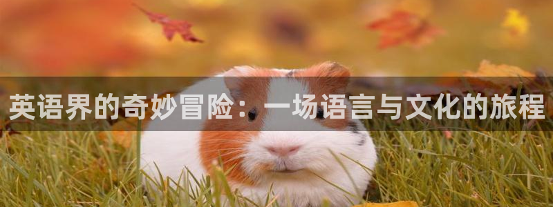 辉达娱乐下载：英语界的奇妙冒险：一场语言与文化的旅程