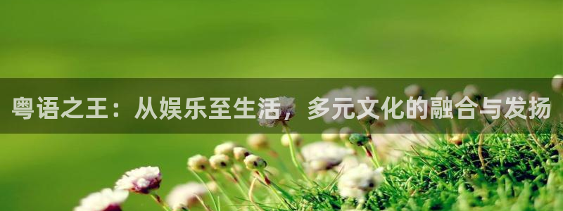 辉达娱乐网站登录流程：粤语之王：从娱乐至生活，多元文化的融合与发扬