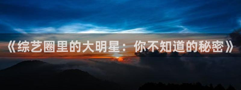 辉达娱乐电子娱乐官网下载：《综艺圈里的大明星：你不知道的秘密》