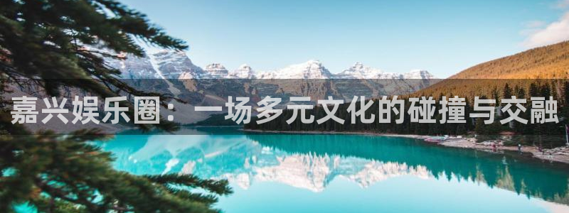 壹号电子娱乐app下载安装最新版本：嘉兴娱乐圈：一场多元文化的碰撞与交融