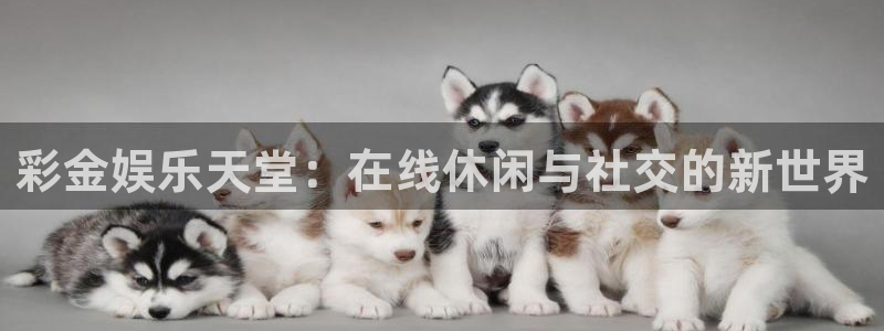 辉达娱乐手机版下载：彩金娱乐天堂：在线休闲与社交的新世界