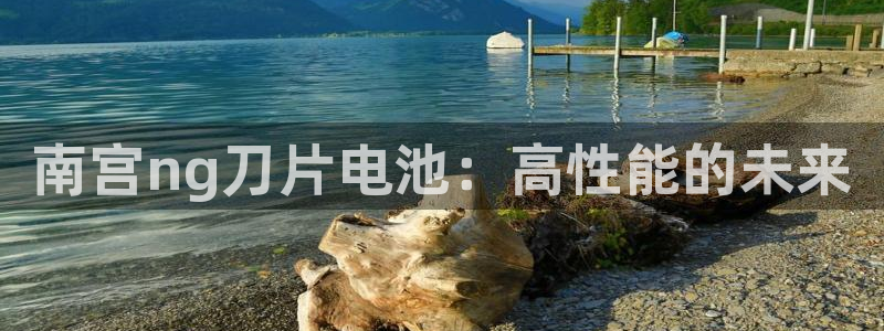 辉达平台主管：南宫ng刀片电池：高性能的未来