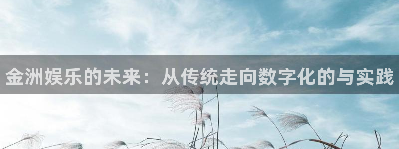 辉达娱乐.ccmpc29官网版下载：金洲娱乐的未来：从传统走向数字化的与实践