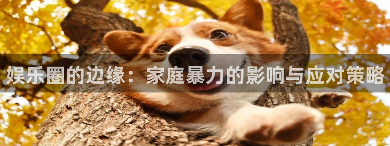 辉达娱乐平台官网版最新：娱乐圈的边缘：家庭暴力的影响与应对策略