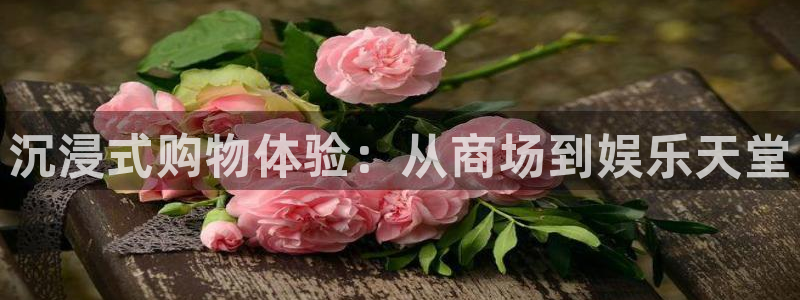 辉达娱乐app：沉浸式购物体验：从商场到娱乐天堂