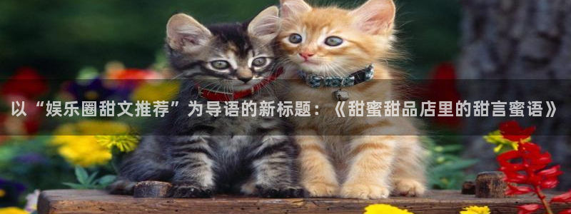 辉达娱乐官网版下载链接：以“娱乐圈甜文推荐”为导语的新标题：《甜蜜甜品店里的甜言蜜语》