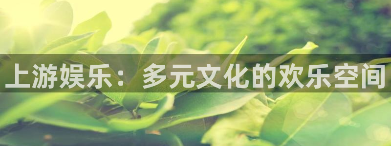辉达股票
