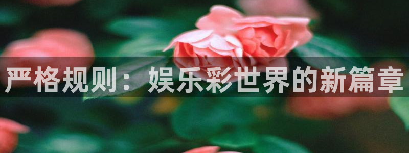 辉达娱乐.ccmpc正版：严格规则：娱乐彩世界的新篇章
