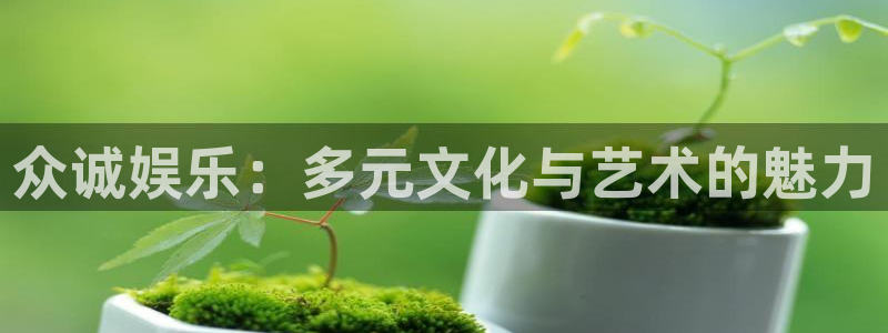 辉达娱乐app：众诚娱乐：多元文化与艺术的魅力