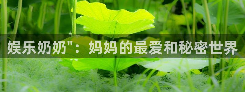 辉达娱乐注册网站链接：娱乐奶奶\