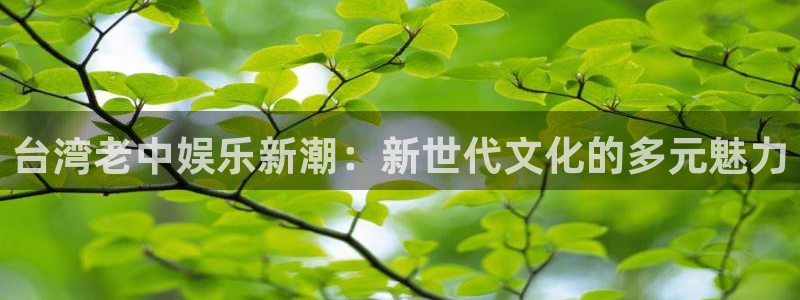 辉达app官网下载入口：台湾老中娱乐新潮：新世代文化的多元魅力