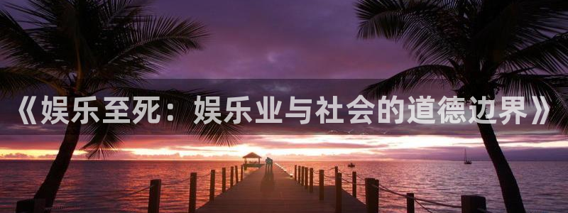壹号top娱乐：《娱乐至死：娱乐业与社会的道德边界》