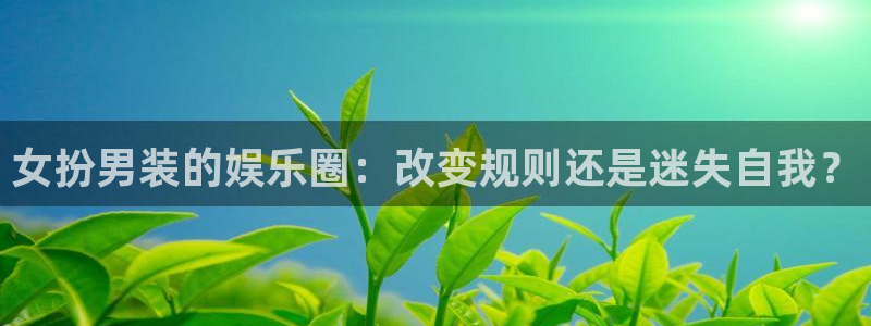 辉达娱乐手机客户端下载安装