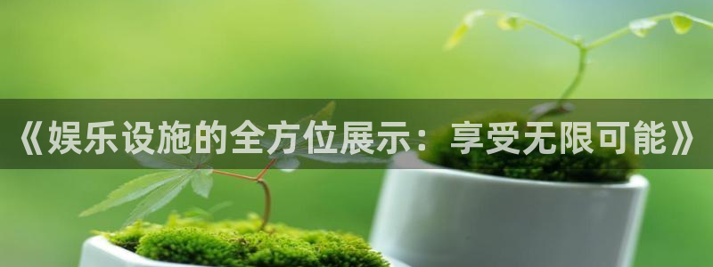 辉达娱乐平台下载入口