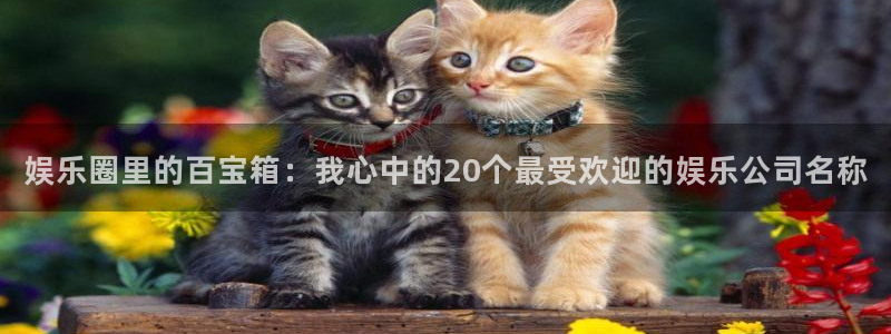 辉达娱乐账号注册入口：娱乐圈里的百宝箱：我心中的20个最受欢迎的娱乐公司名称