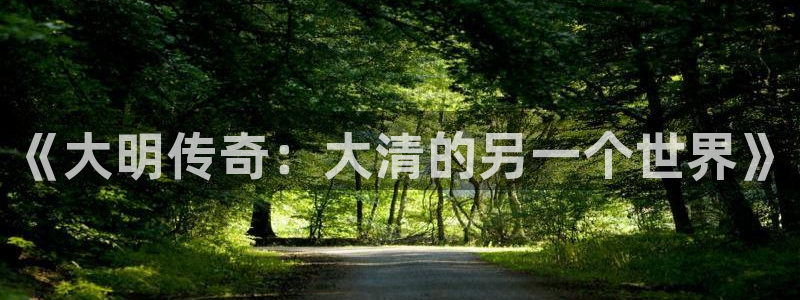 辉达娱乐官网