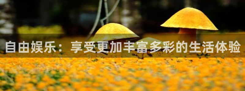 辉达娱乐app入口
