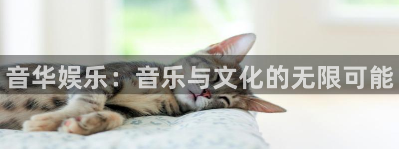 辉达娱乐app下载官网
