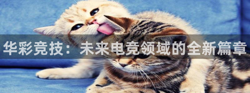 辉达娱乐平台app下载：华彩竞技：未来电竞领域的全新篇章