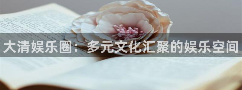 辉达娱乐注册：大清娱乐圈：多元文化汇聚的娱乐空间