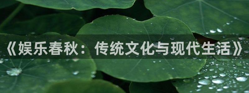 辉达娱乐平台app下载：《娱乐春秋：传统文化与现代生活》